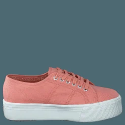 2790 Acotw Linea Rose Lobster