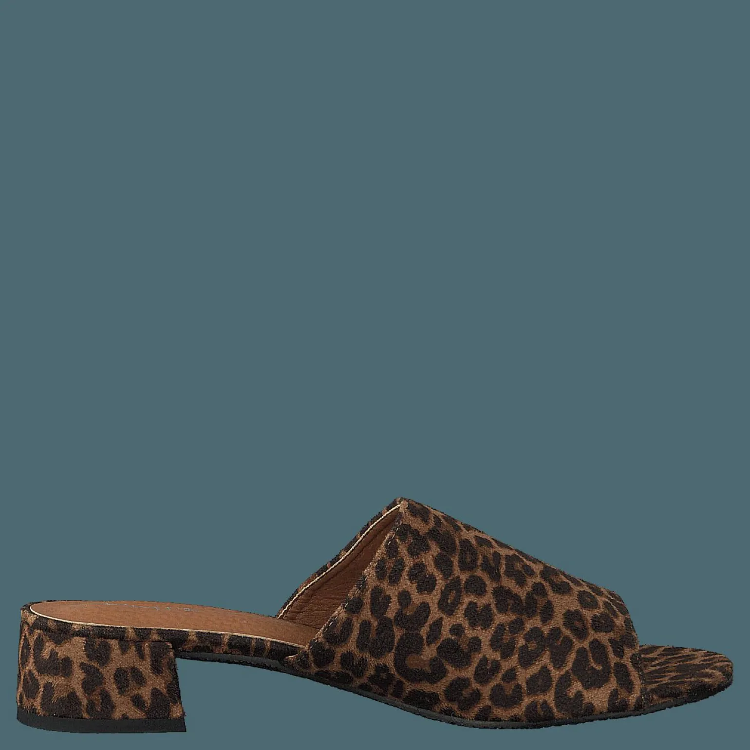 97-00704 Brown/multi