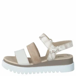 64.610-12 Camelmulti