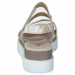 64.610-12 Camelmulti