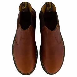 2976 Cashew Ambassador