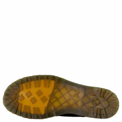 2976 Wl Black Grizzly