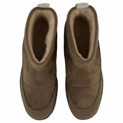 Alunda Hybrid 618/shitake