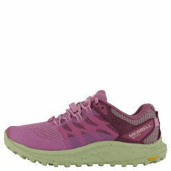 Antora 3 Gtx Fondant/willow