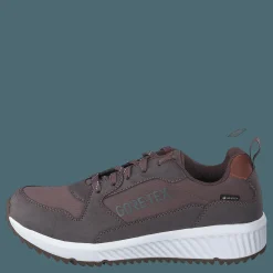 Arena Albertvil Gtx Lavender