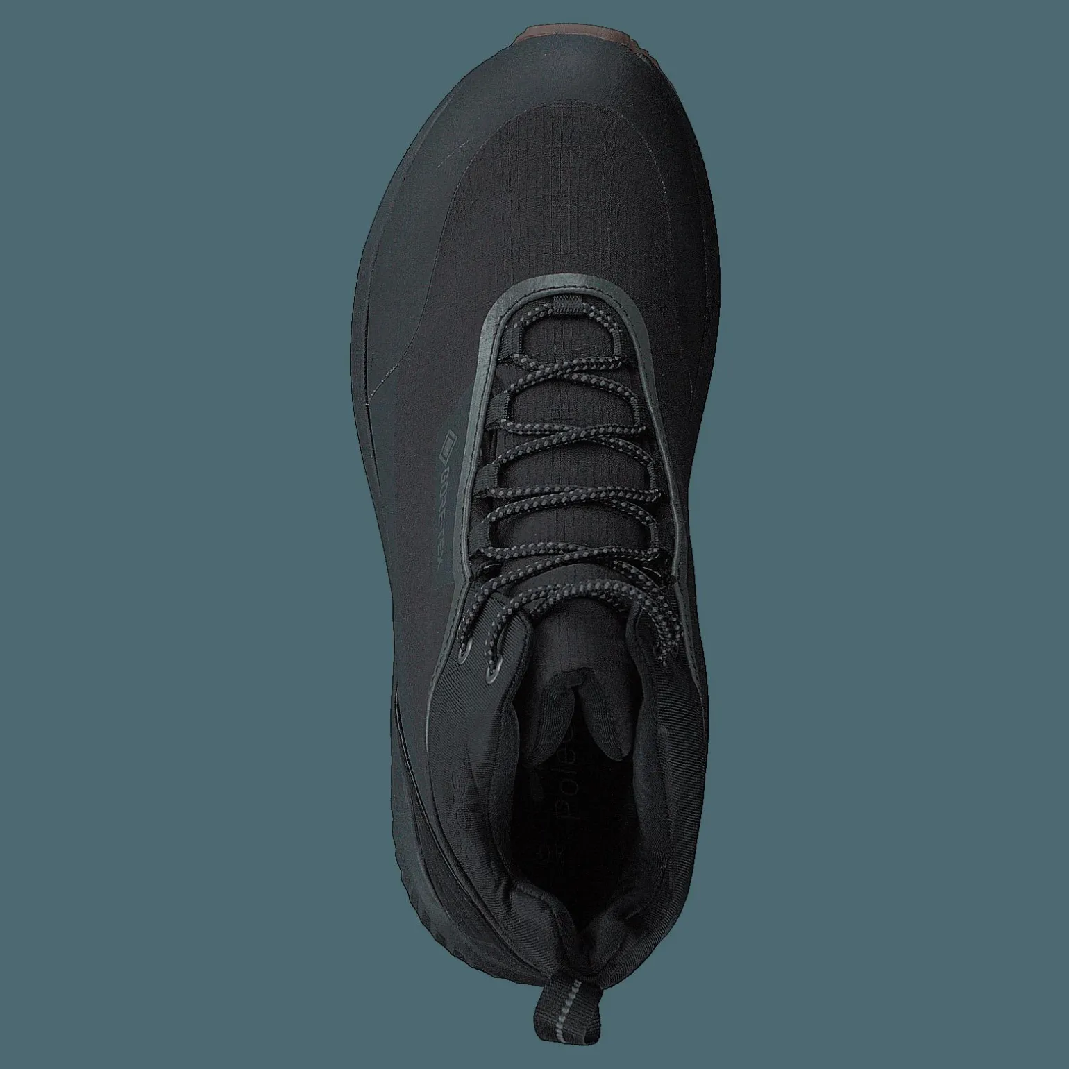 Arena Vancouver Gtx Black