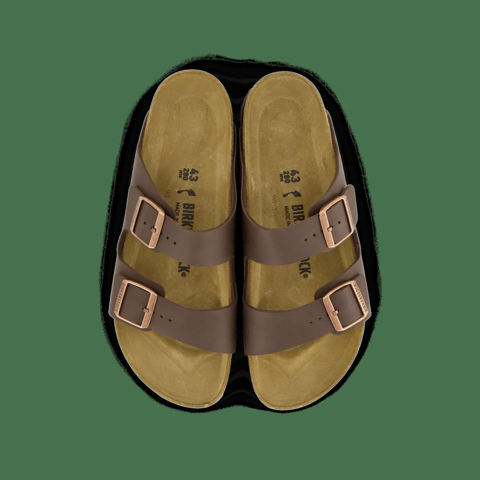 Arizona Narrow Brown