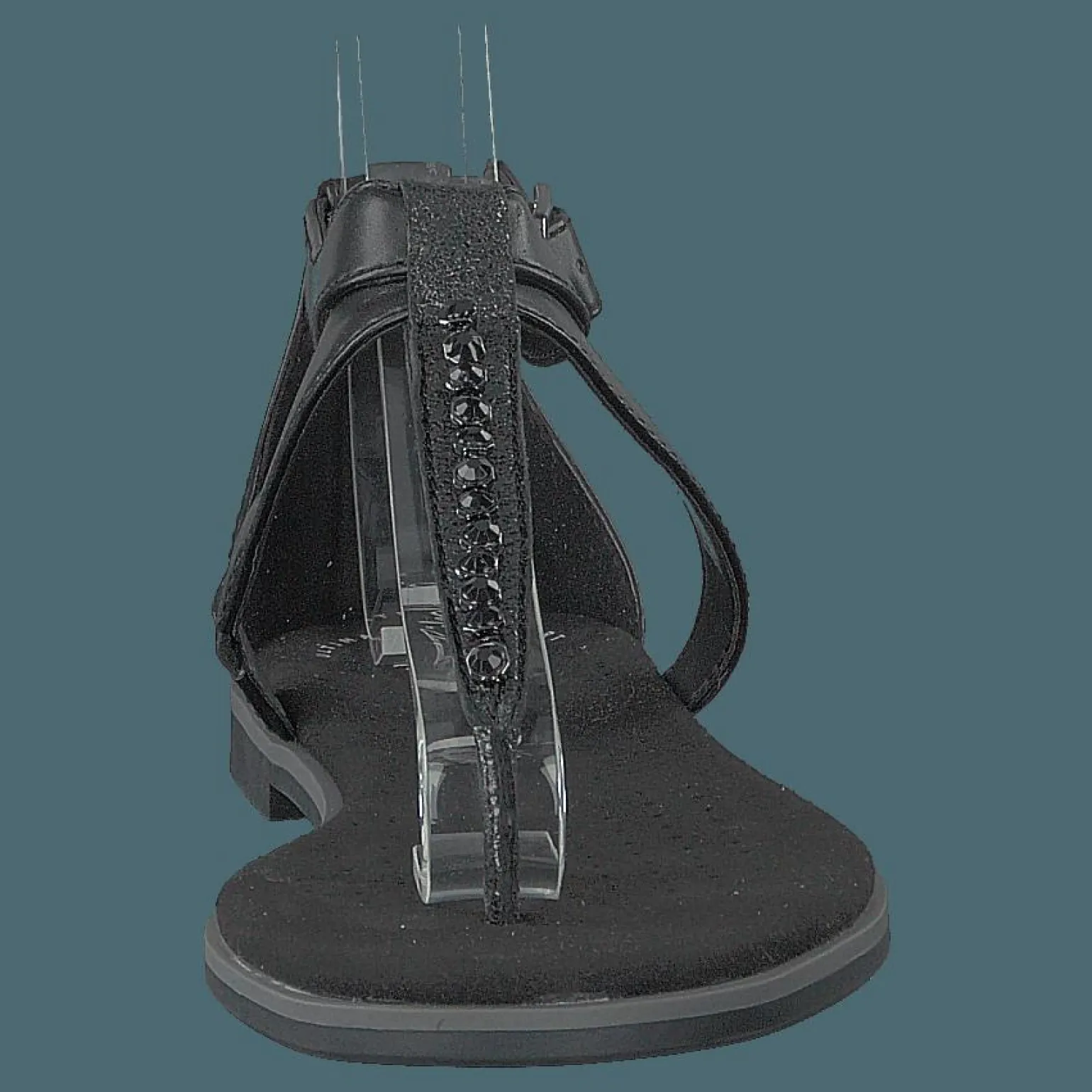 Bay Poppy Black Interest