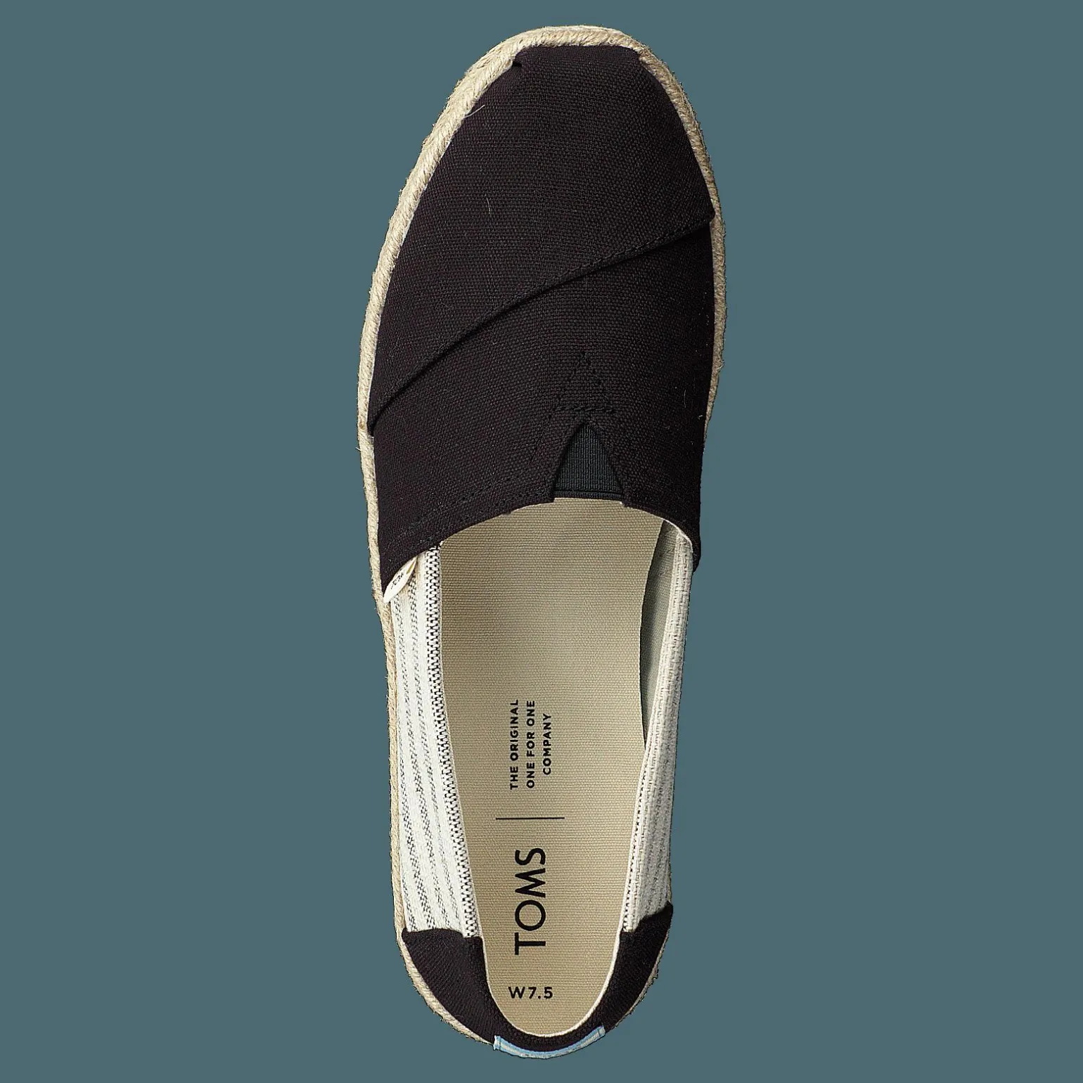 Black Canvas Ivy League Black