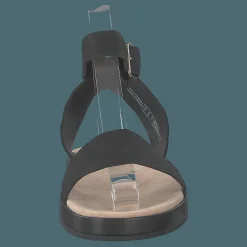 Botanic Ivy Black Leather