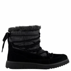 Campania Schwarz ( Schwarz)