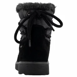 Campania Schwarz ( Schwarz)