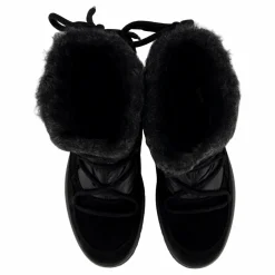 Campania Schwarz ( Schwarz)