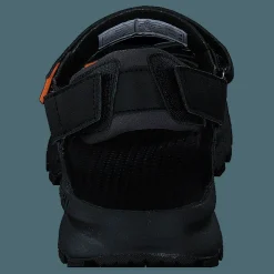 Cedrus Convert 3 Black