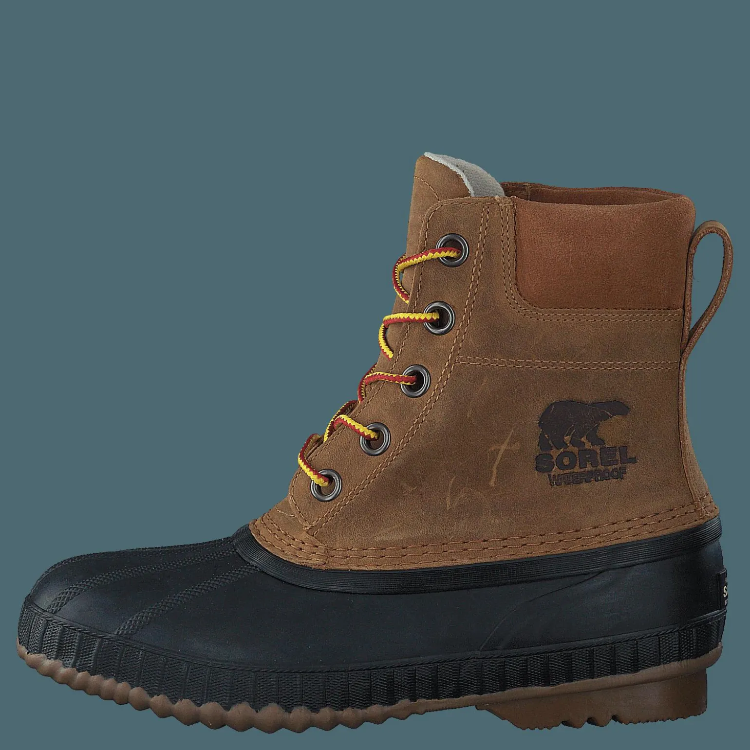 Cheyanne II 224 Chipmunk, Black