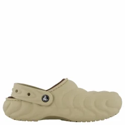 Classic Lined Overpuff Clog Moth