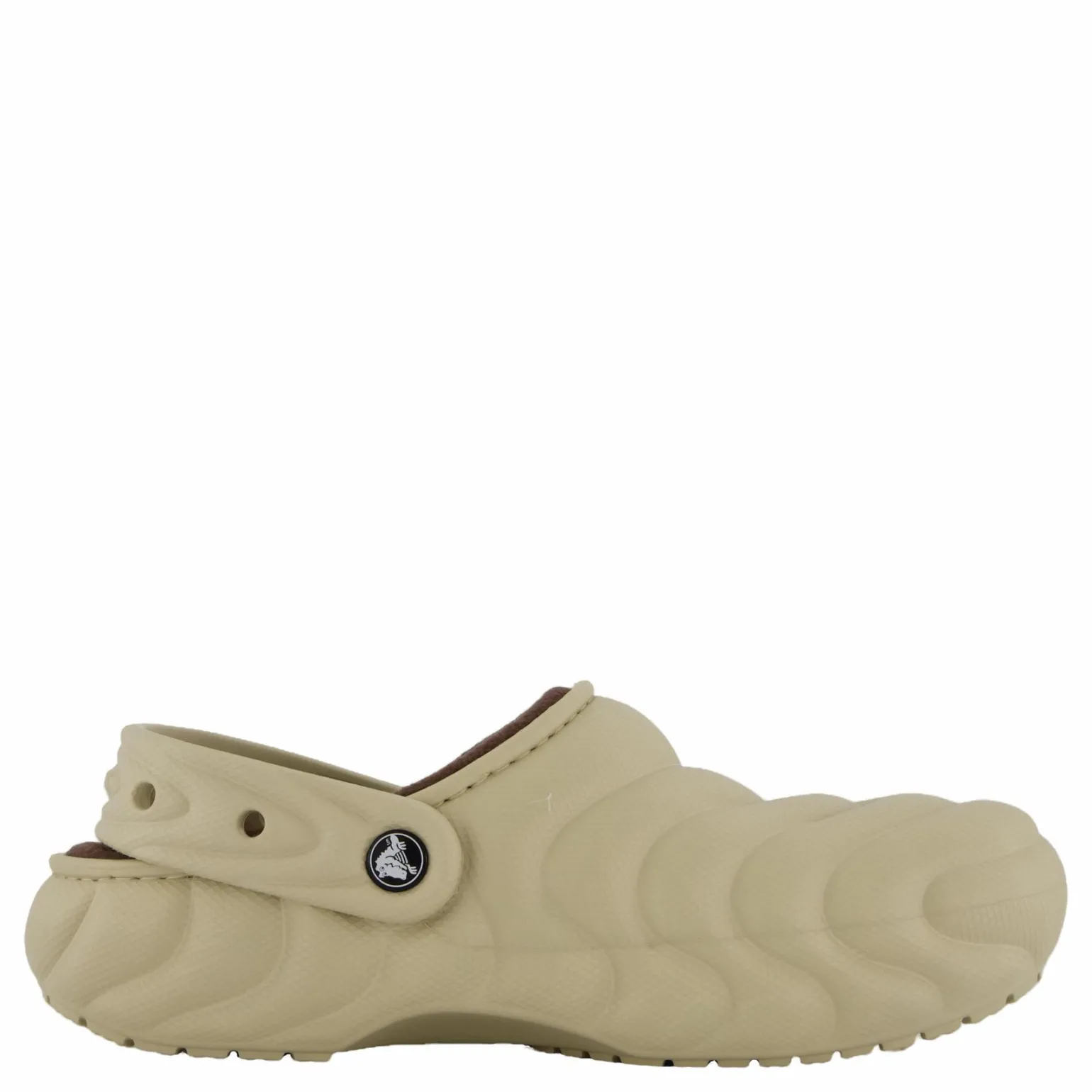 Classic Lined Overpuff Clog Moth