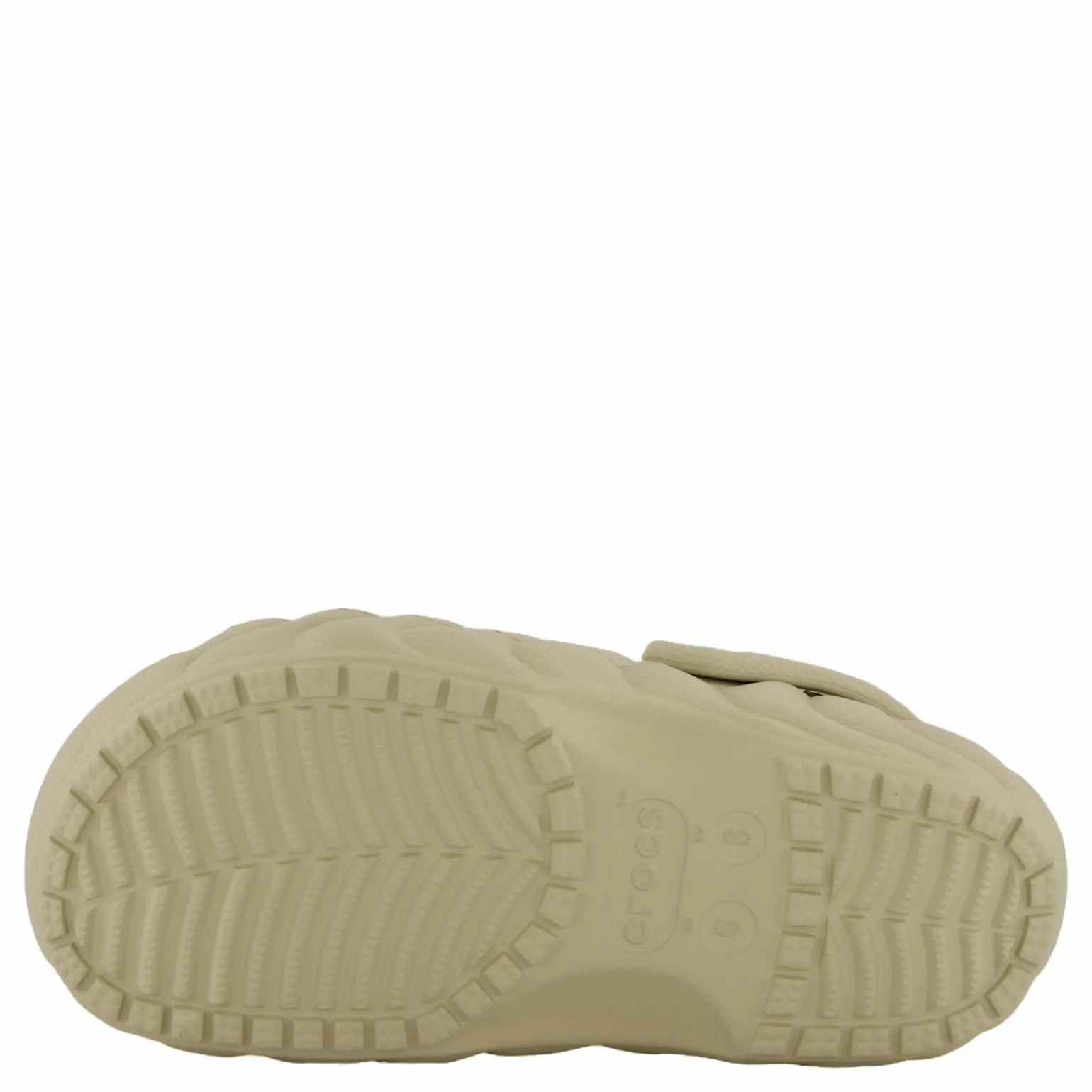 Classic Lined Overpuff Clog Moth