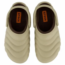 Classic Lined Overpuff Clog Moth