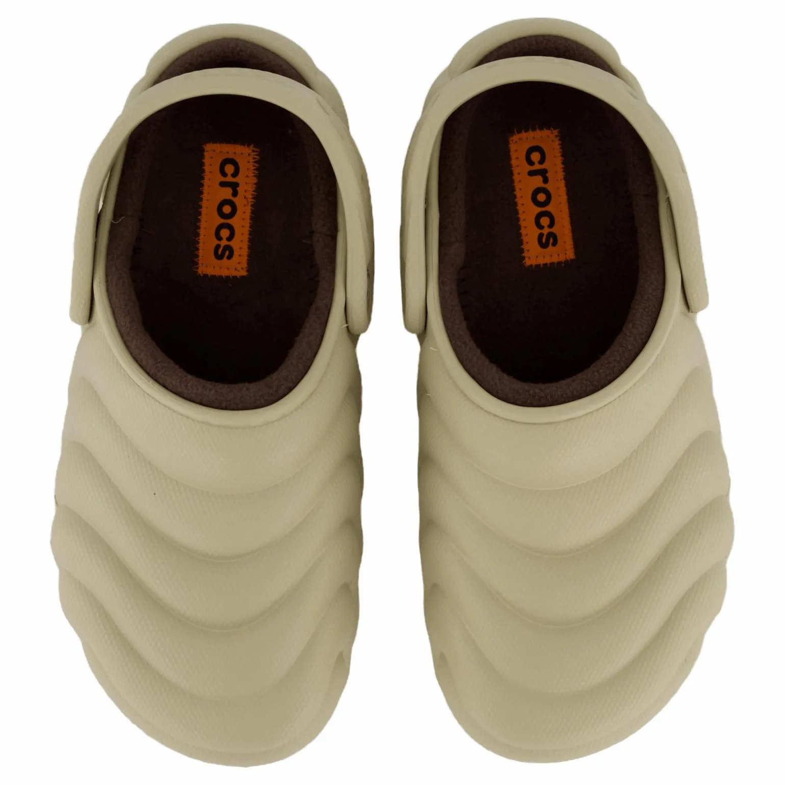 Classic Lined Overpuff Clog Moth