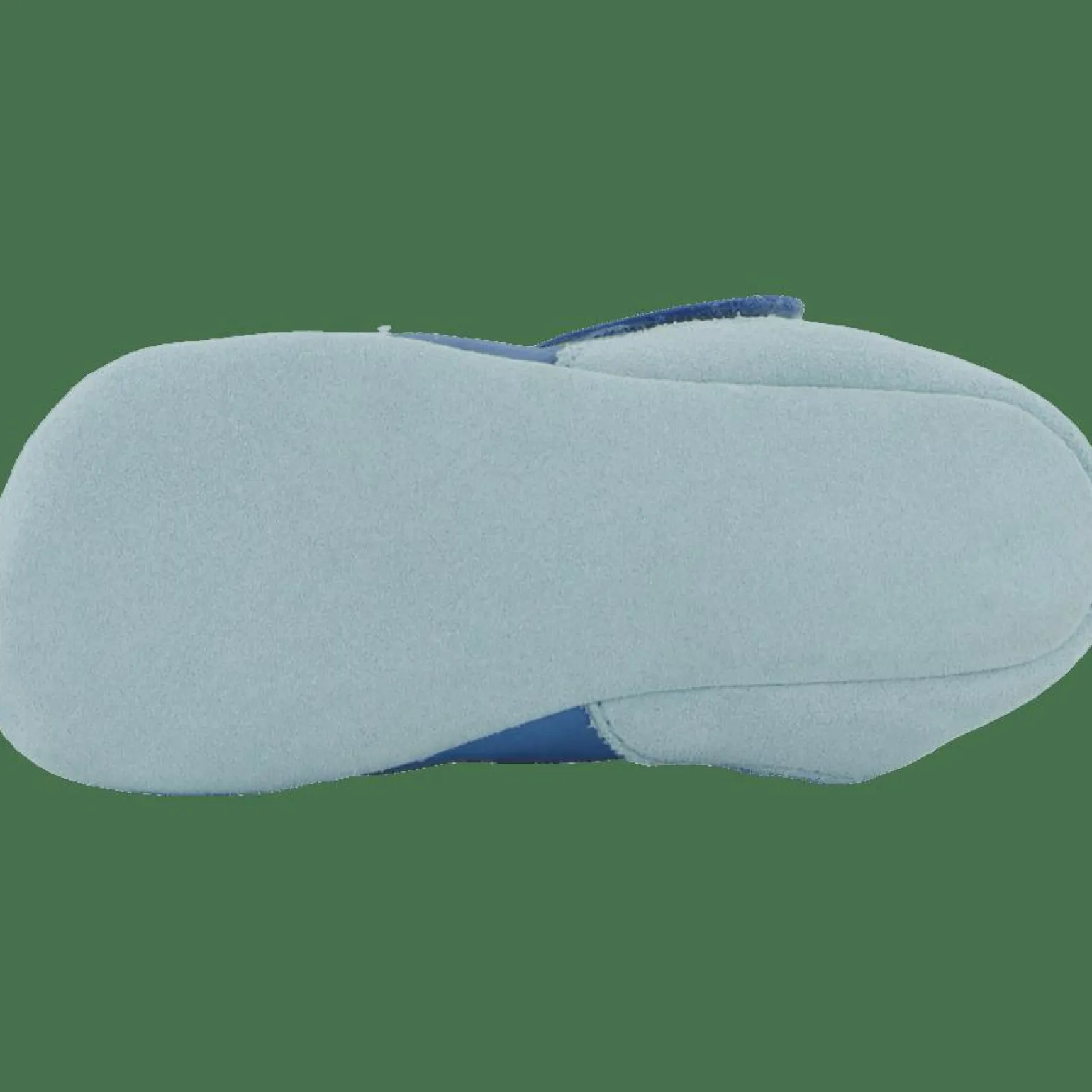 Crawling Shoe Leather Crawly Shark