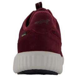 Credo Toronto Gtx Bordo