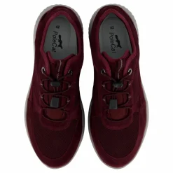 Credo Toronto Gtx Bordo