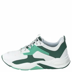 Delphiville F/l Sneaker Neptune Green