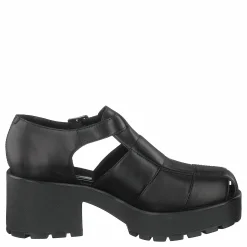 Dioon 4747-001-20 Black