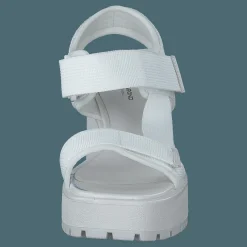 Dioon 4947-080-01 White