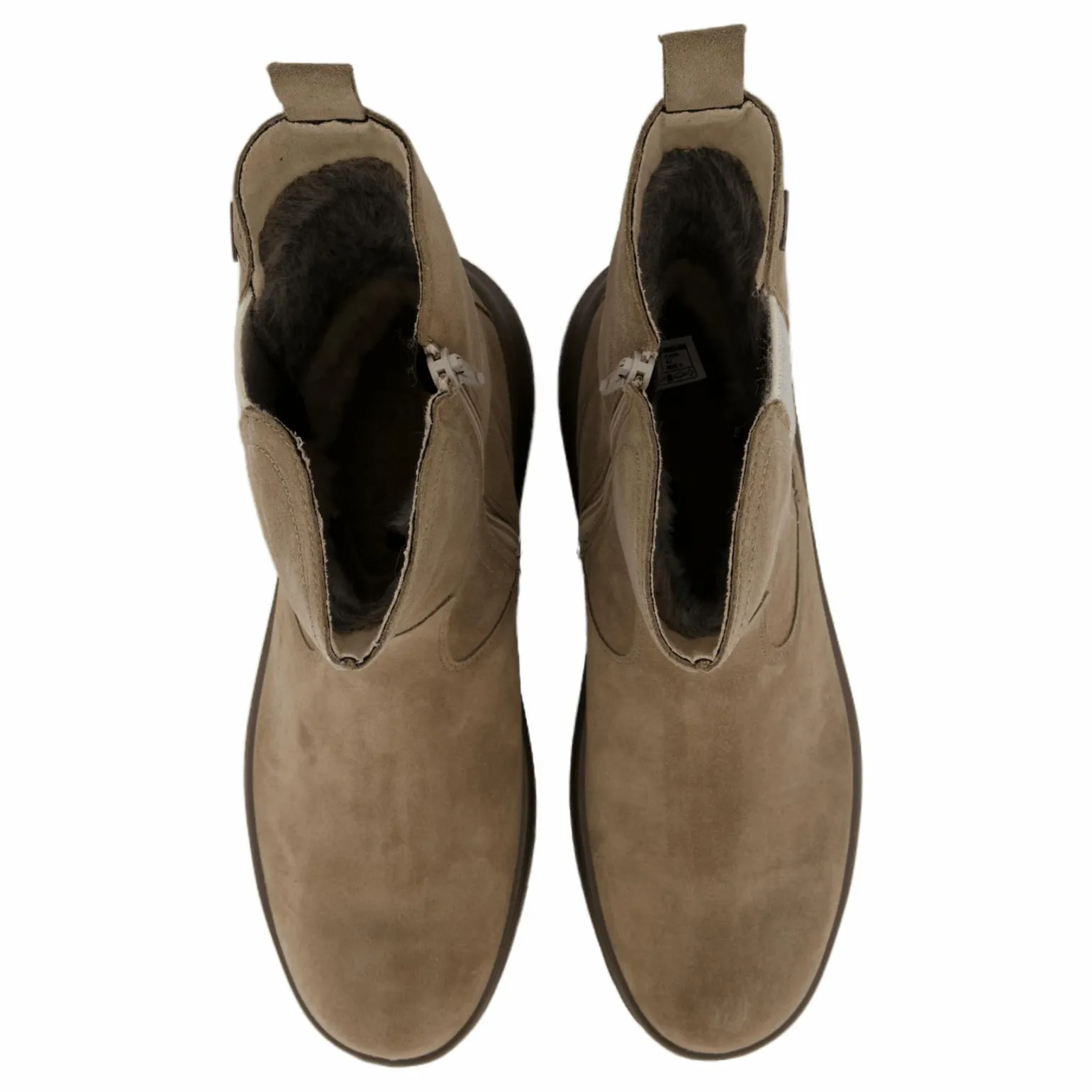 Dreamer Giotto (beige)