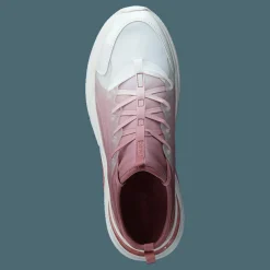 Dwardonii Other Pink