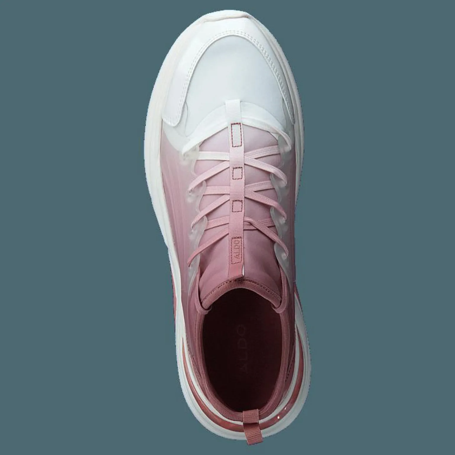 Dwardonii Other Pink