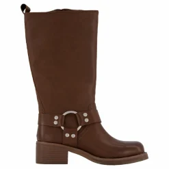 Eastern Boot Brown