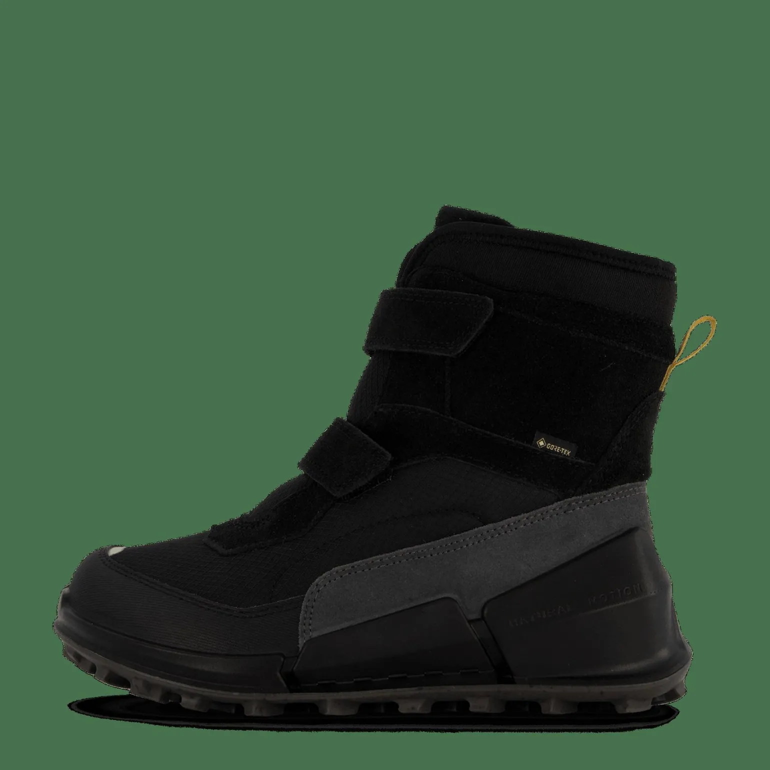 Ecco Biom K2 Black/black/black/magnet