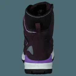 Ecco Snow Mountain Black/fig/fig