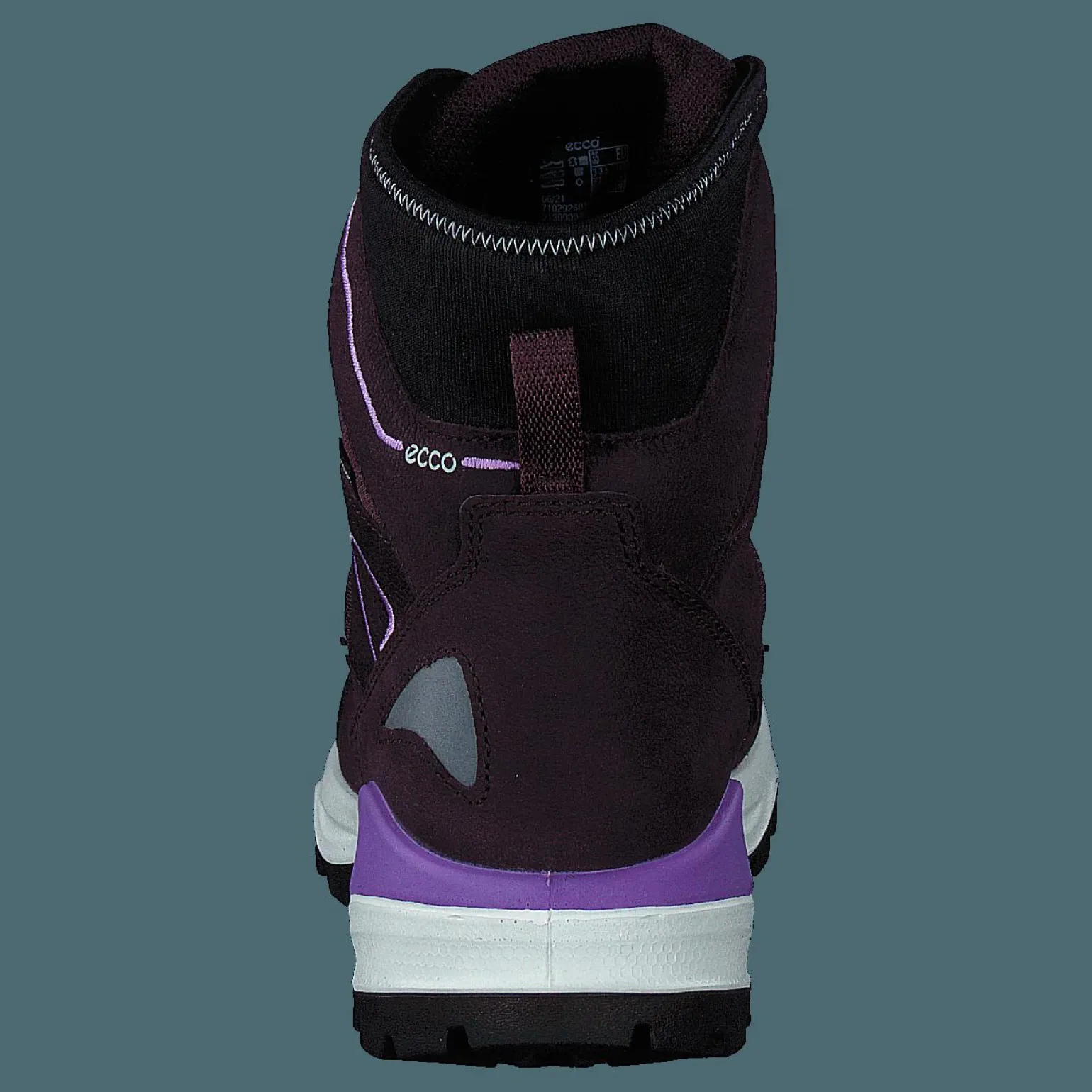 Ecco Snow Mountain Black/fig/fig