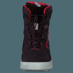 Ecco Urban Snowboarder Fig/teaberry
