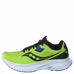 Guide 15 Acid/blue Raz