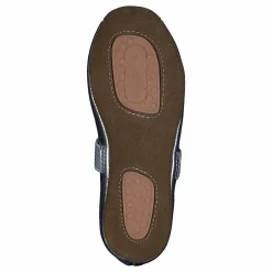 Home Shoe Ballet Silver