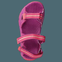 Hydro Blaze Purple/coral