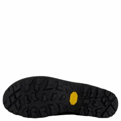 Integra Gtx Forest Night