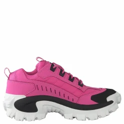 Intruder Azelea Pink