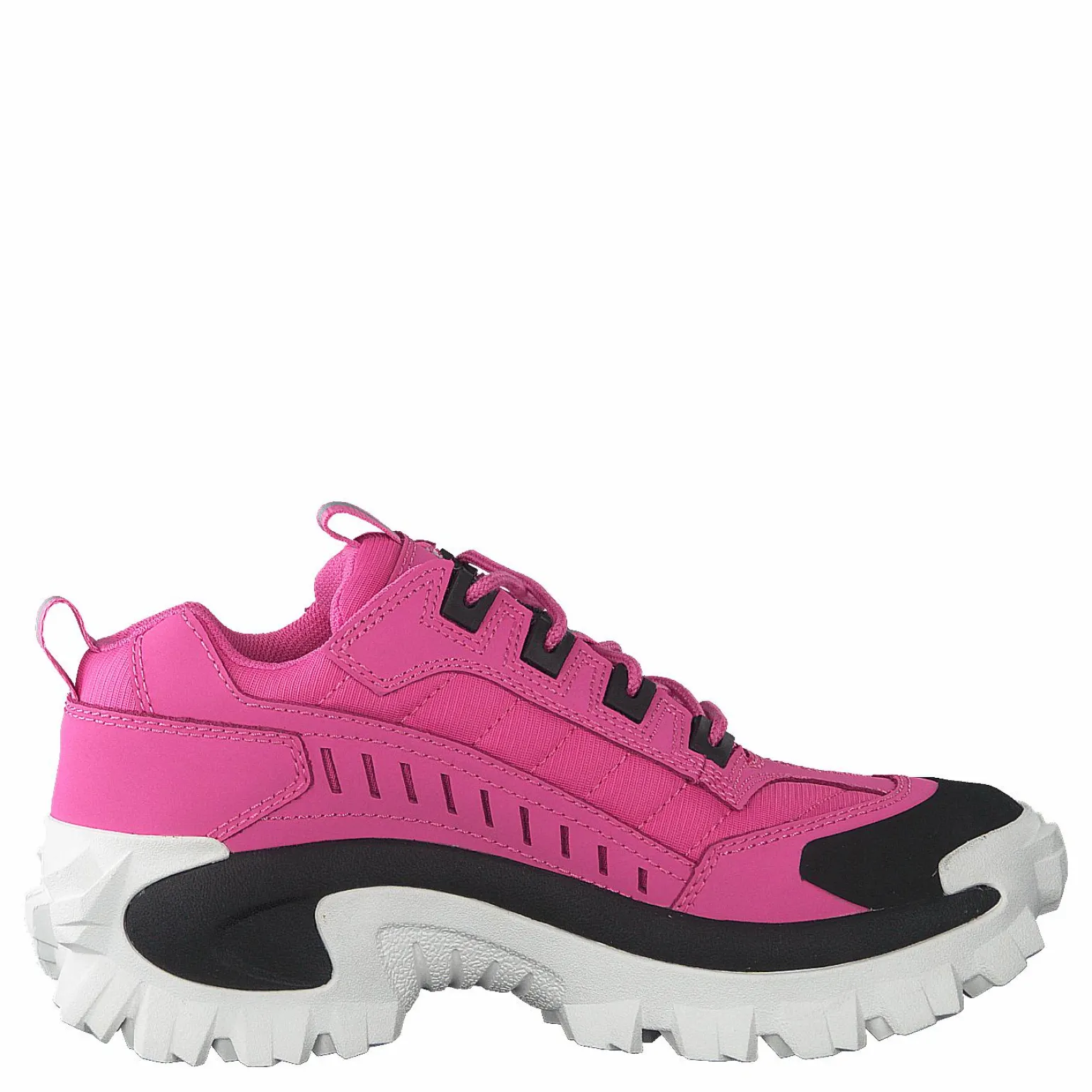 Intruder Azelea Pink