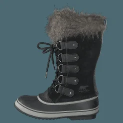 Joan Of Artic Black Quarry