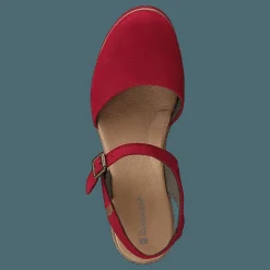 Leaves Pleasant Tibet