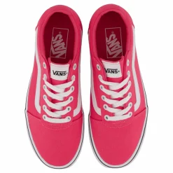 Mn Ward Canvas Honeysuckle