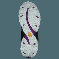 Moab Speed Gtx Black