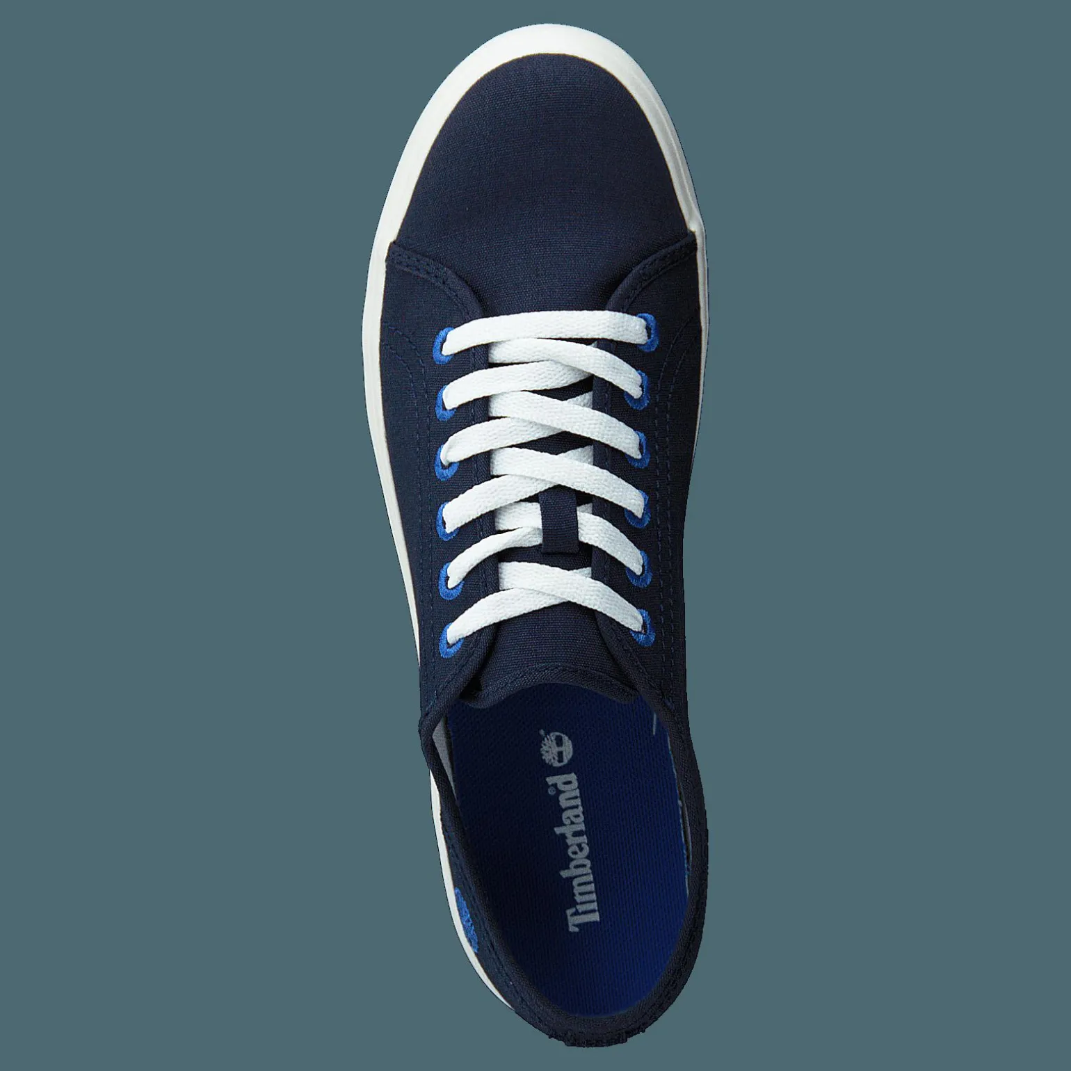 Newport Bay Ox Black Iris