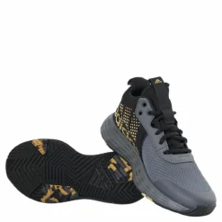 Ownthegame 2.0 Shoes Grey Five / Matte Gold / Core Black